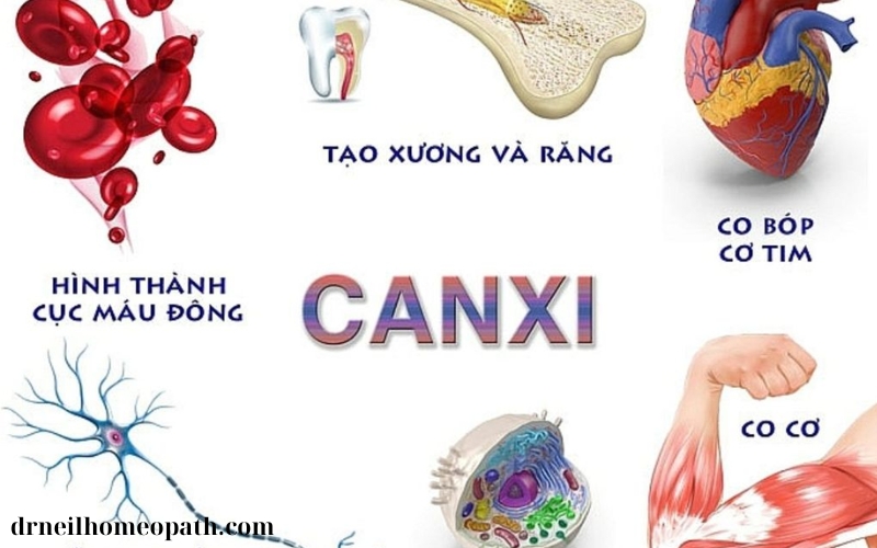 Muối Canxi và vai trò trong phát triển xương (1)